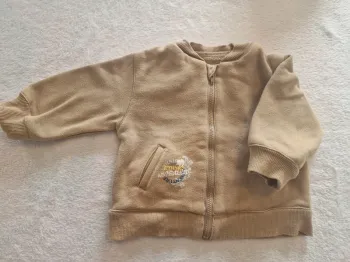 Veste