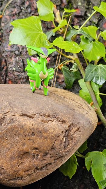 Super figurine Pokemon Nintendo viridium