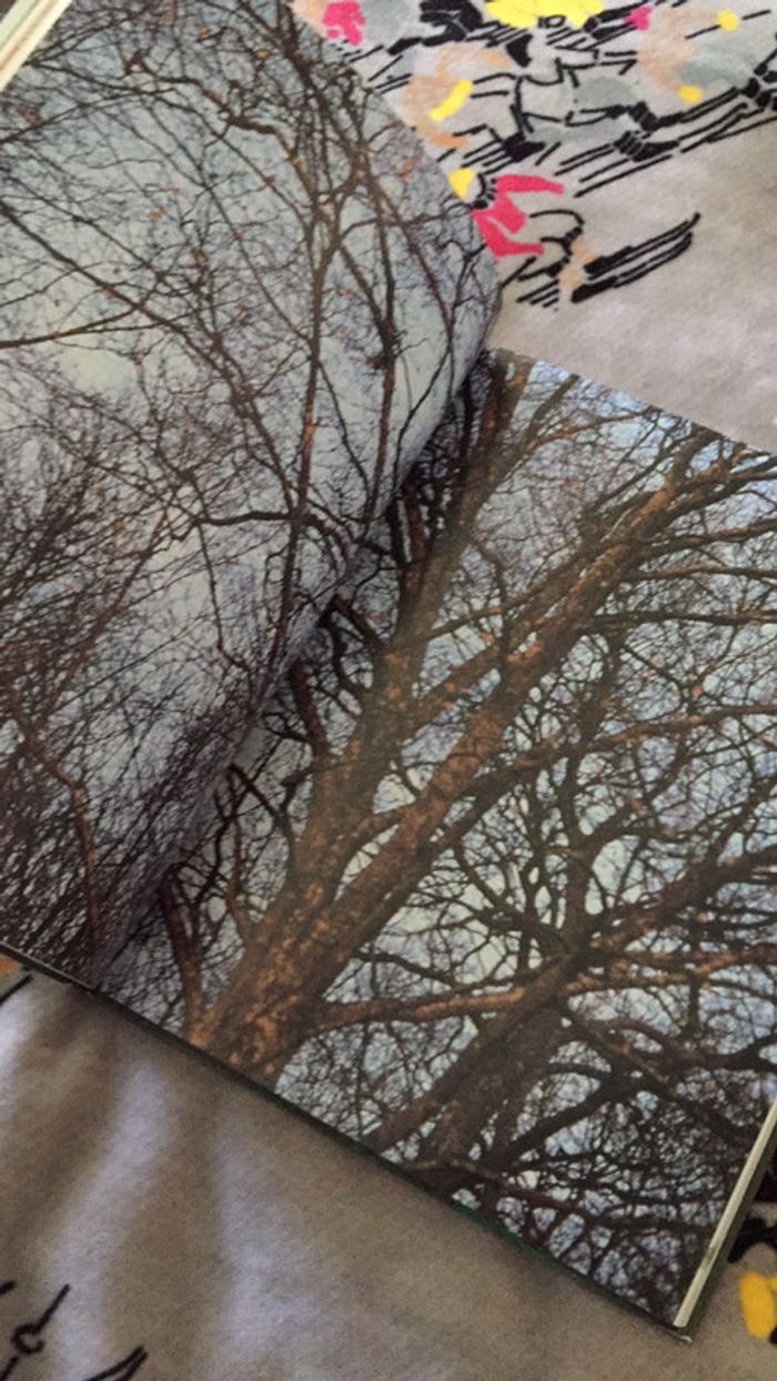 Les Forêts - photo numéro 6