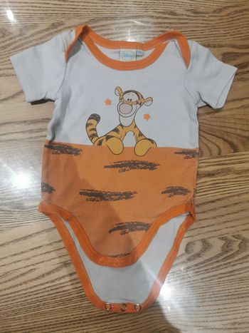 Bodies Tigrou Disney