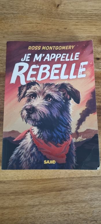Livre Roman "je m'appelle rebelle"