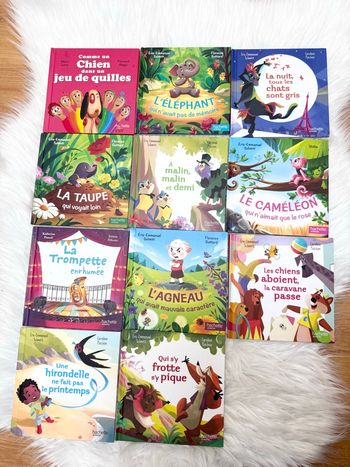 Lot de 11 livres Hachette McDonald’s – Neufs