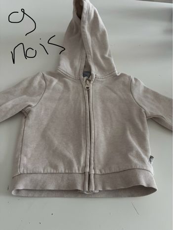 Lot 2 veste bébé garçon 