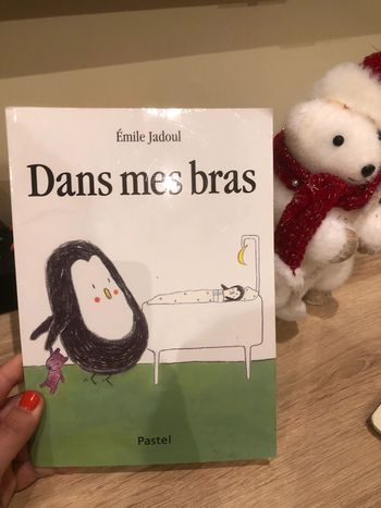 Livre Dans mes bras (idéal pour l’arrivée d’un petit frère ou petite sœur)