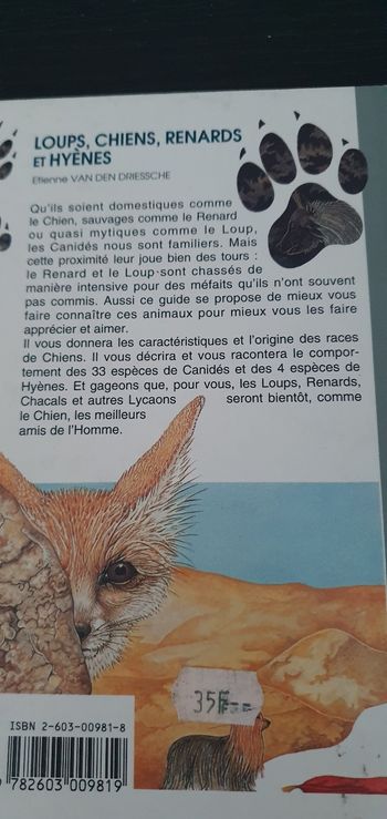 Loups, chiens, renards et hyènes