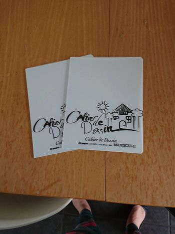 Deux cahiers de dessin