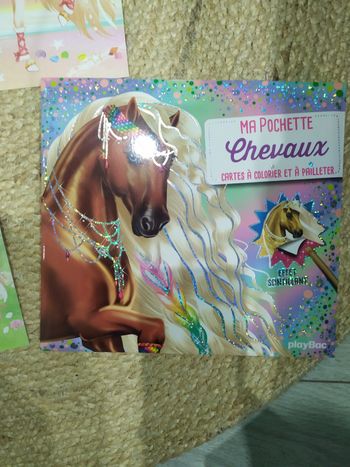 Kit créatif, Ma poche chevaux, pour enfants, PlayBac, TBE 