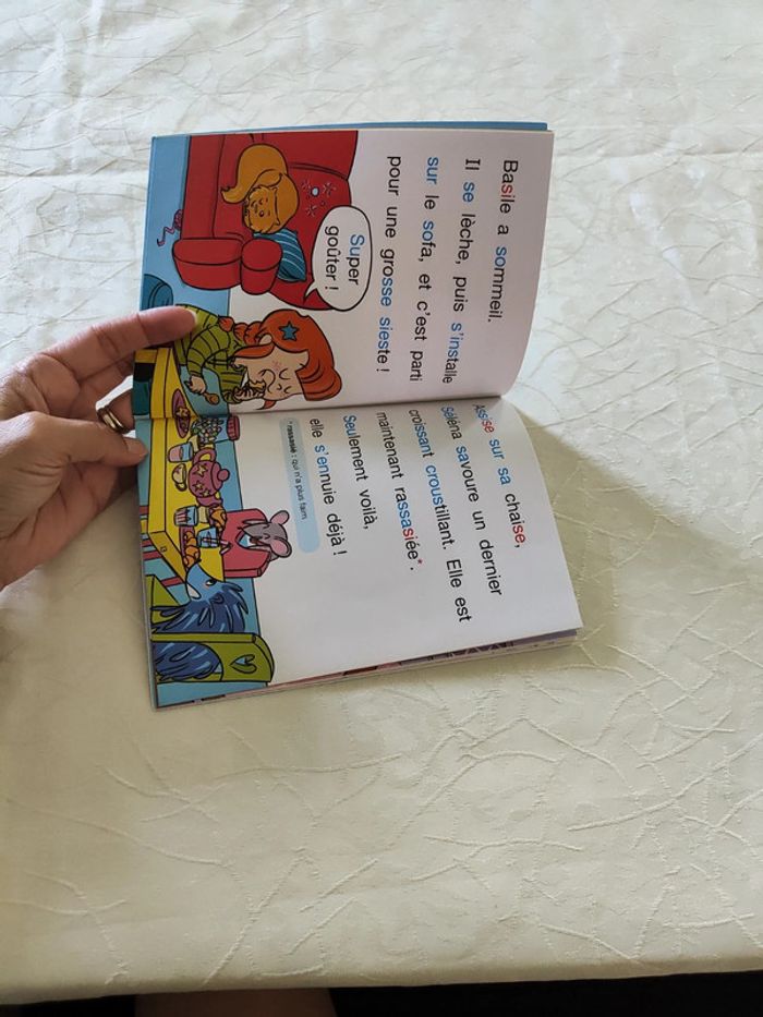 Livre - photo numéro 5