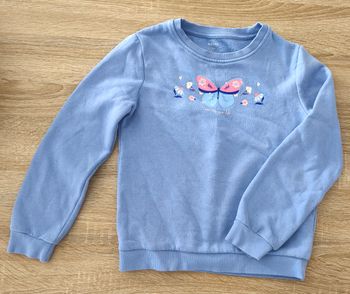 Pull papillon