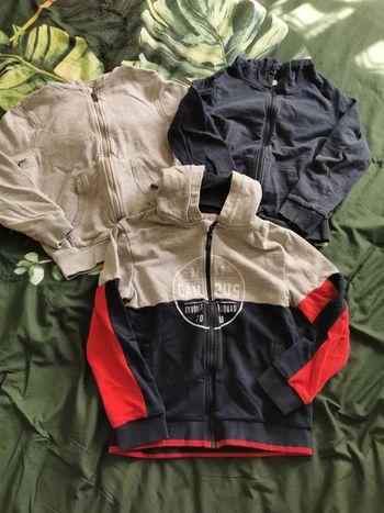 Lot 3 vestes à capuches