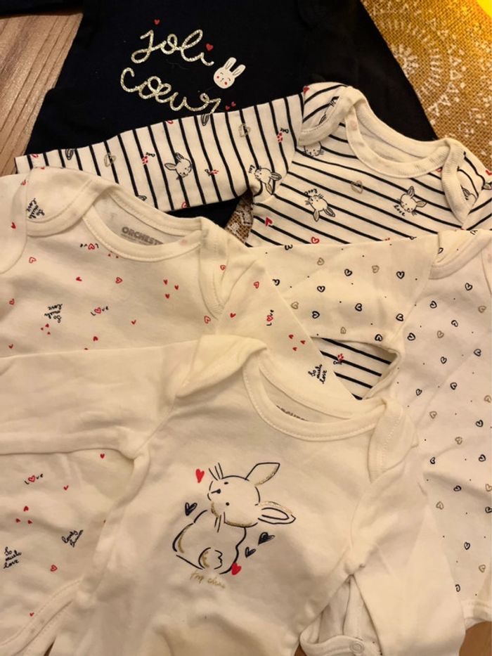 Lot de 5 bodys neufs - photo numéro 2