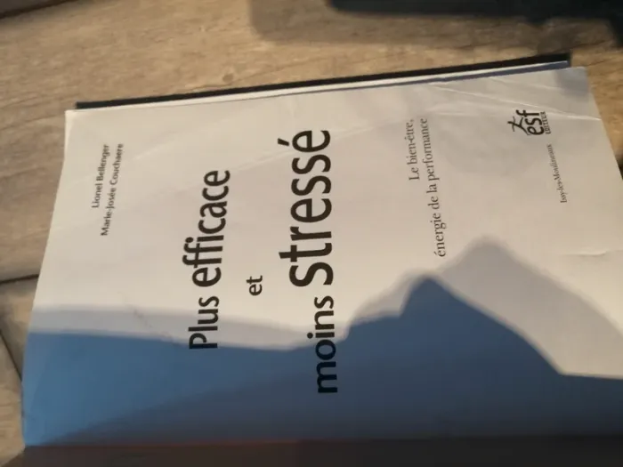 Livre Plus efficace et moins stressé bellenger et couchaere - photo numéro 3