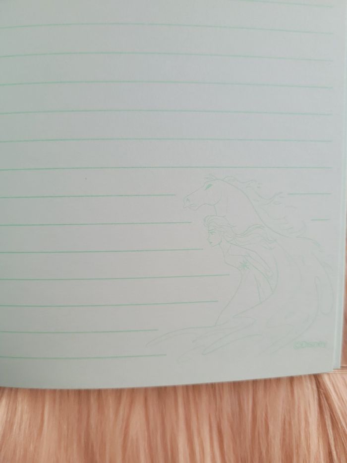 Cahier reine des neiges disney - photo numéro 5