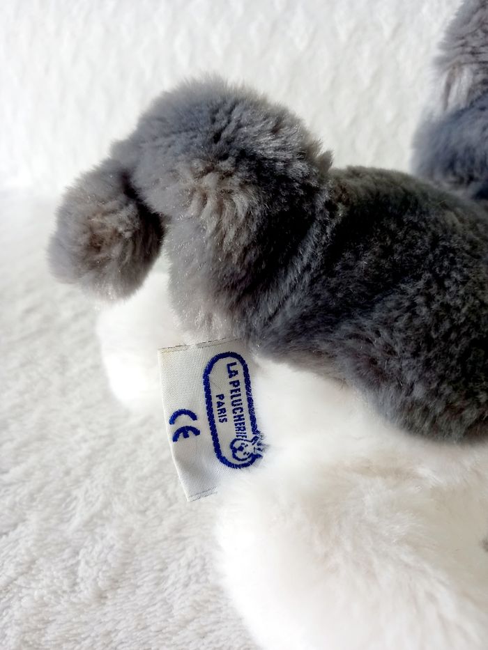 Chat La pelucherie - photo numéro 3