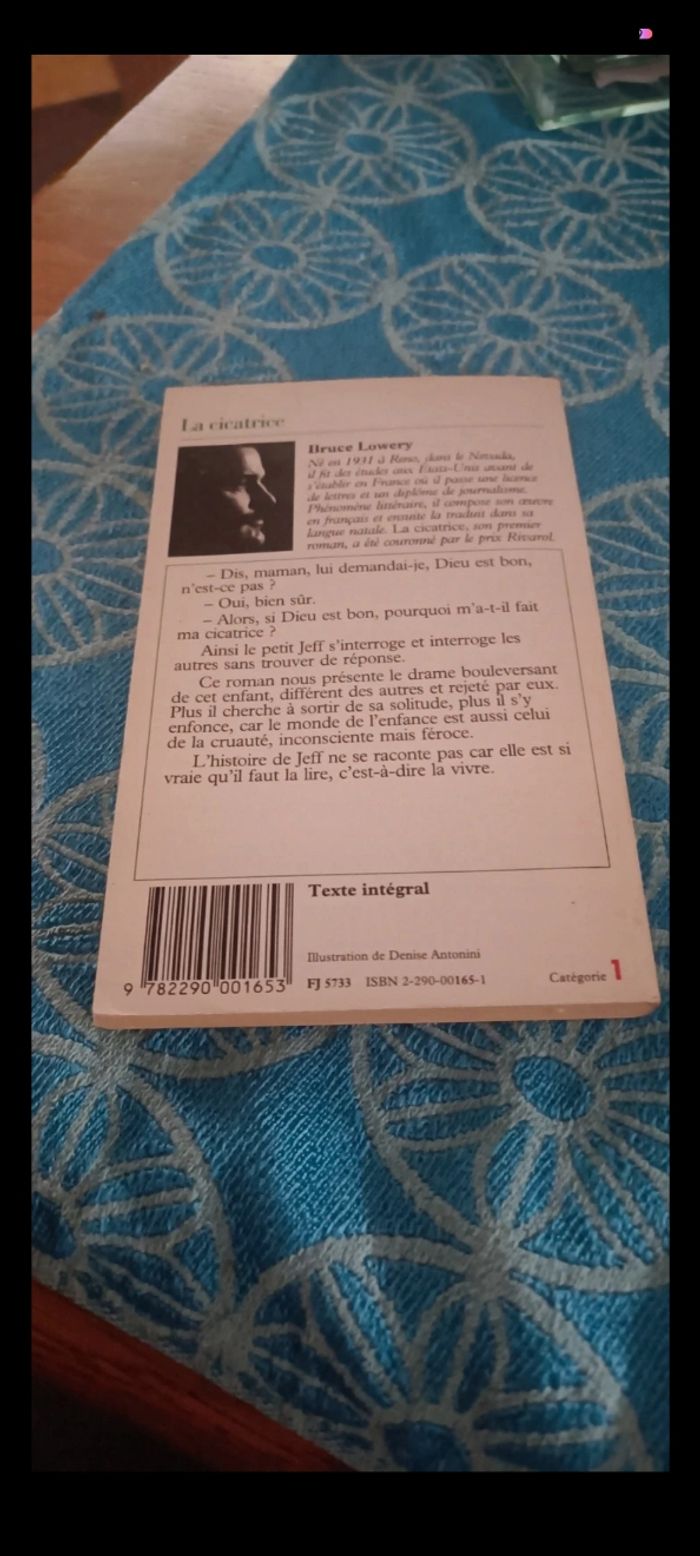 Livre la cicatrice - photo numéro 2