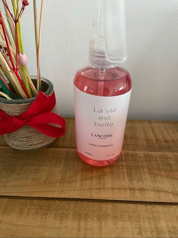 Spray d’ambiance la vie est belle neuf