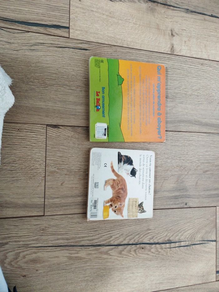 Livre enfant lot de 2 - photo numéro 2