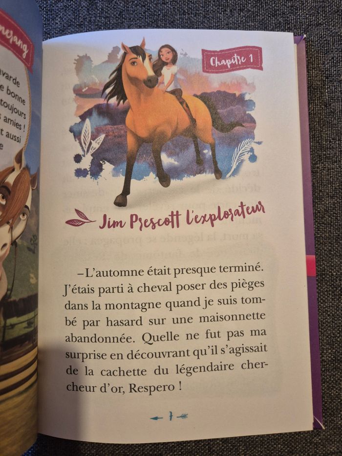 Livre Spirit La chasse au trésor - photo numéro 3
