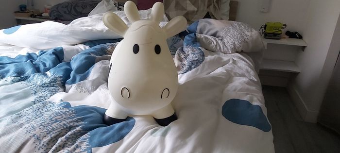 Ballon sauteur vache - photo numéro 4