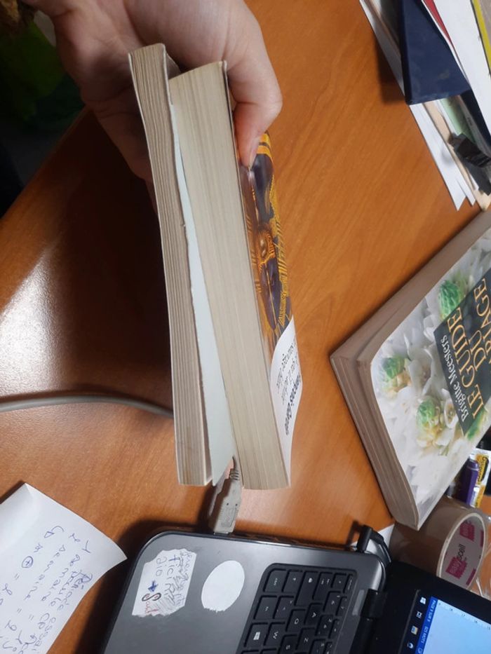 L'esclave Marie l'archer et sauvage blanc - photo numéro 6