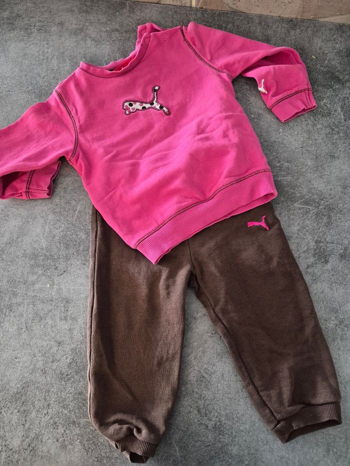 Ensemble puma