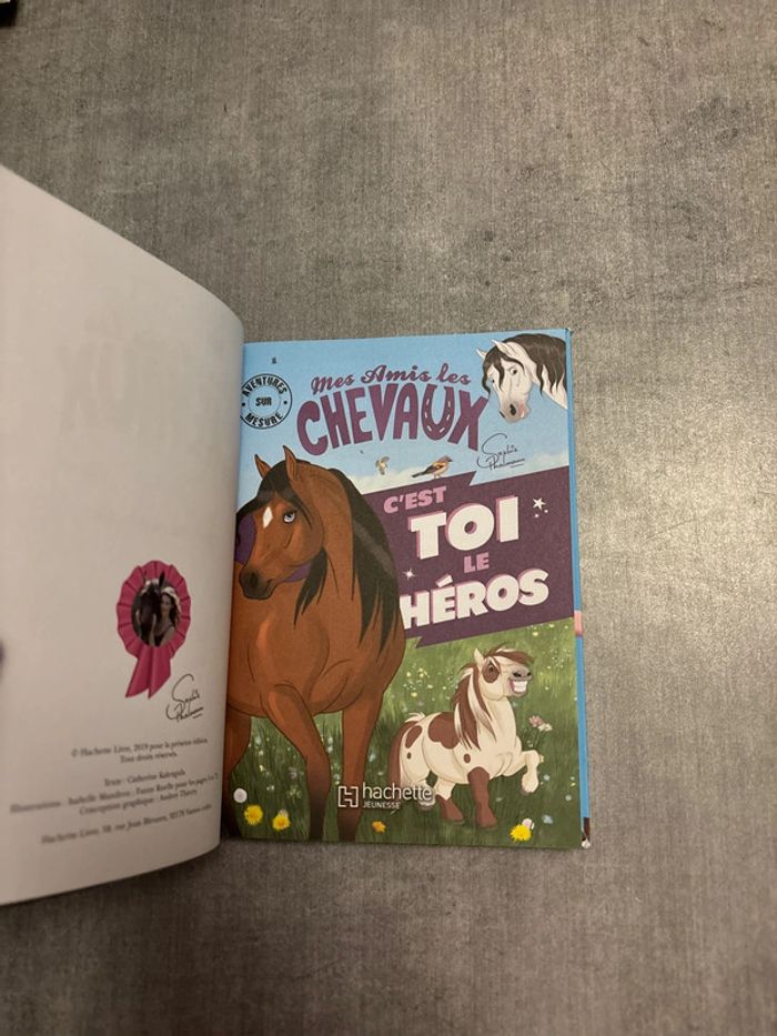 Livre mes amis, les chevaux, c’est toi le héros - photo numéro 2