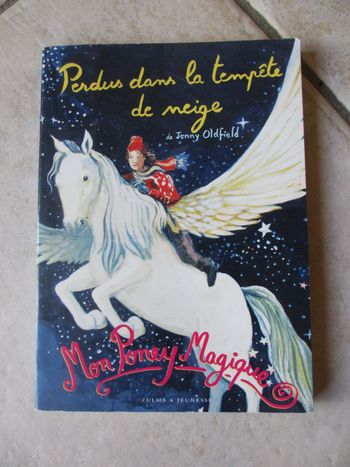 Roman enfant Mon Poney Magique – Tome 4 Perdus dans la tempête