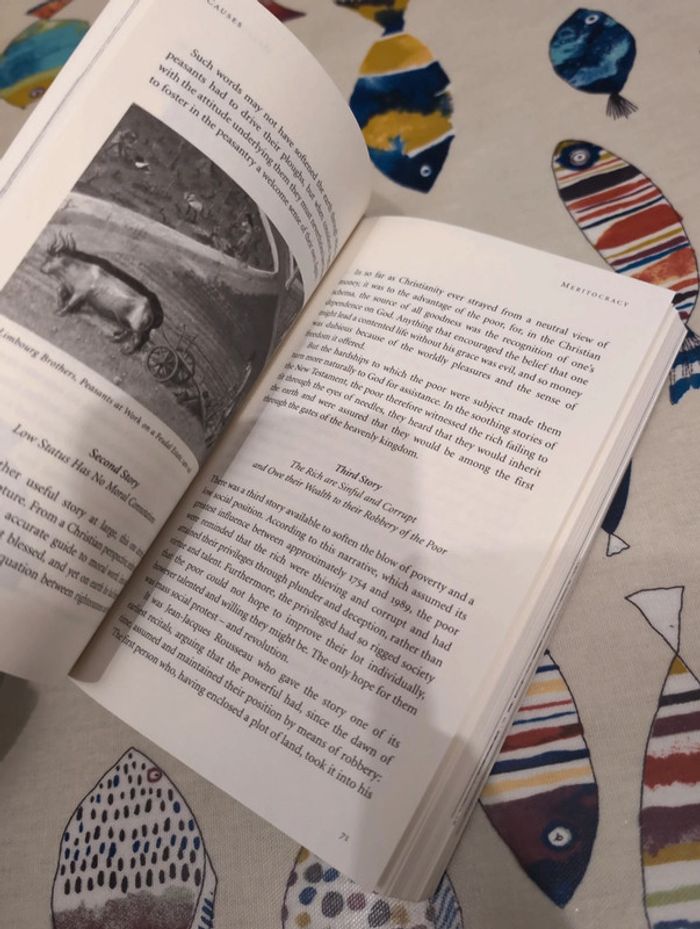 Status anxiety - photo numéro 4