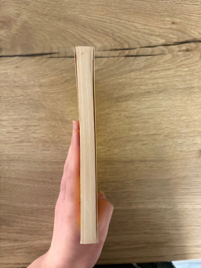 Livre Petit Pays Gaël Faye - photo numéro 4