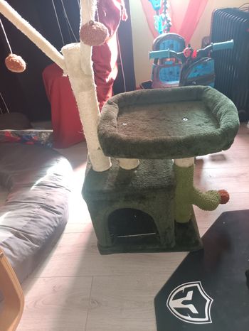 Arbre à chat 