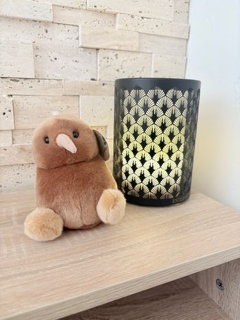 Palm  pals Kiwi  oiseau