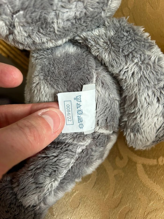 Petit ourson gris - photo numéro 8