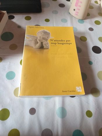 N'attendez pas trop longtemps un roman de Agnès Marietta