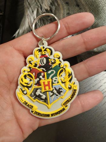 Porte clé harry potter
