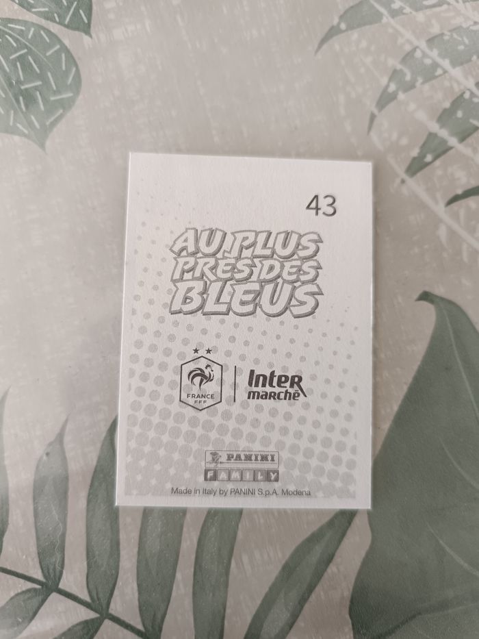 Sticker Panini "Au plus près des bleus" - photo numéro 2
