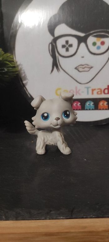 Littlest Petshop LPS dog chien colley collie 363 hasbro authentique autherntic Rare