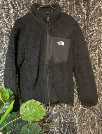 Veste the north face