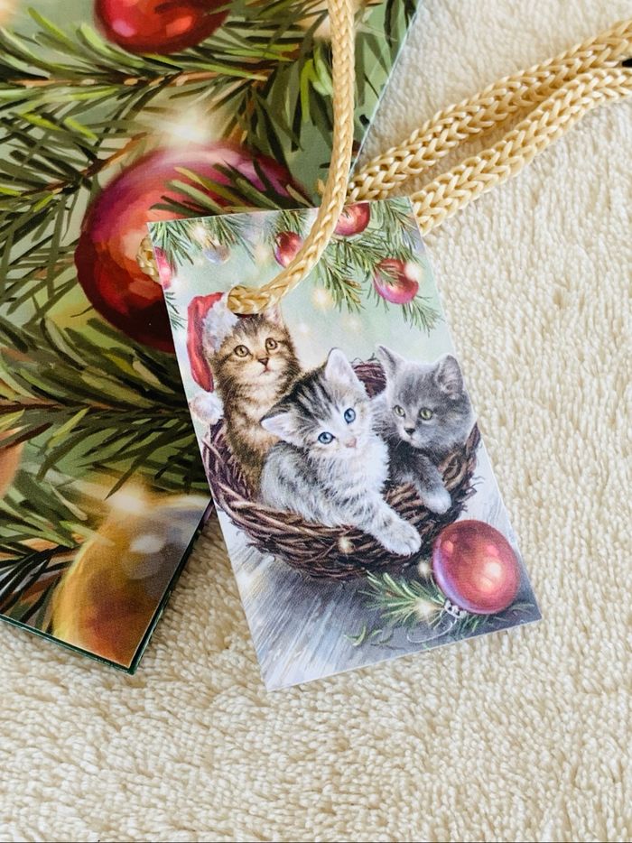 Lot de 3 petites pochettes 3 chats Noel Vitrine Magique - photo numéro 4