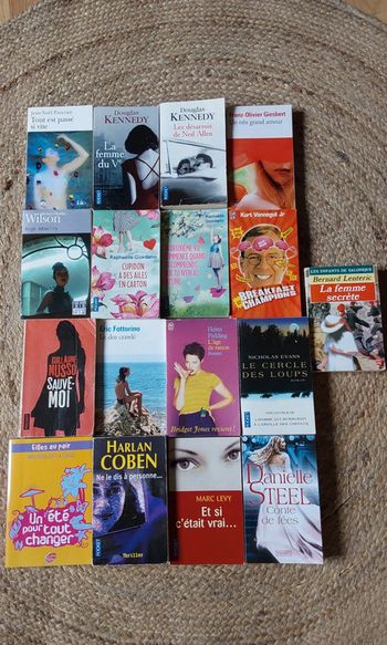 Livres romans thrillers divers  1 euro l unité au choix
