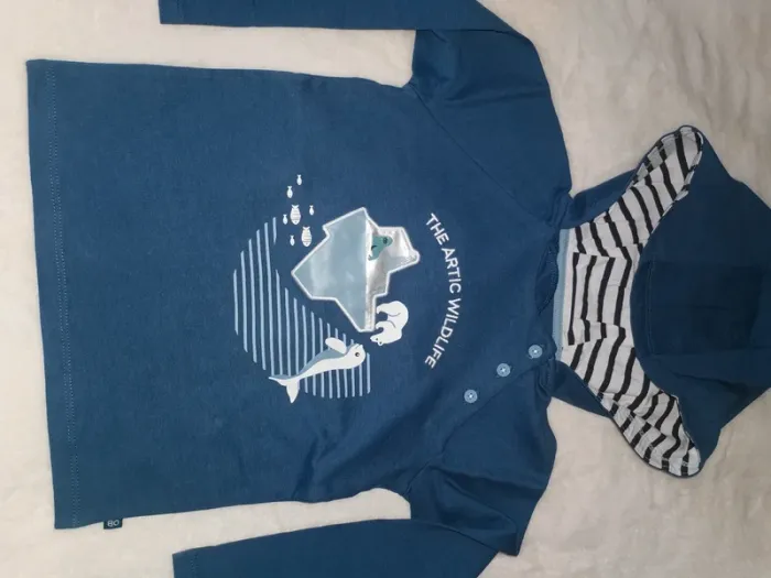 Lot de 2 tee-shirts manches longues Taille 36 mois - photo numéro 2