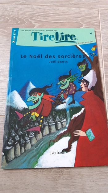Livre le Noël des sorcières