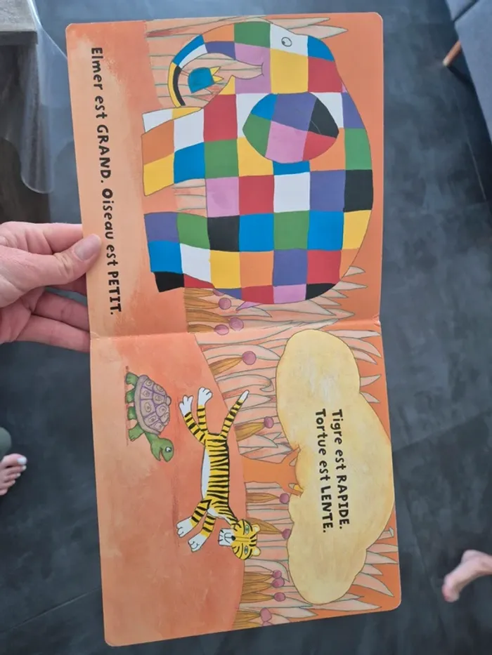 Le petit livre des contraintes d elmer - photo numéro 3