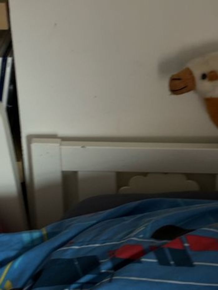 Lit 160/80 avec sommier et matelas - photo numéro 2