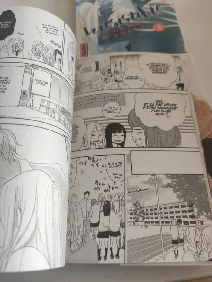 Lot 4 mangas Irrésistible tome 2, 3, 4 et 5 - photo numéro 3