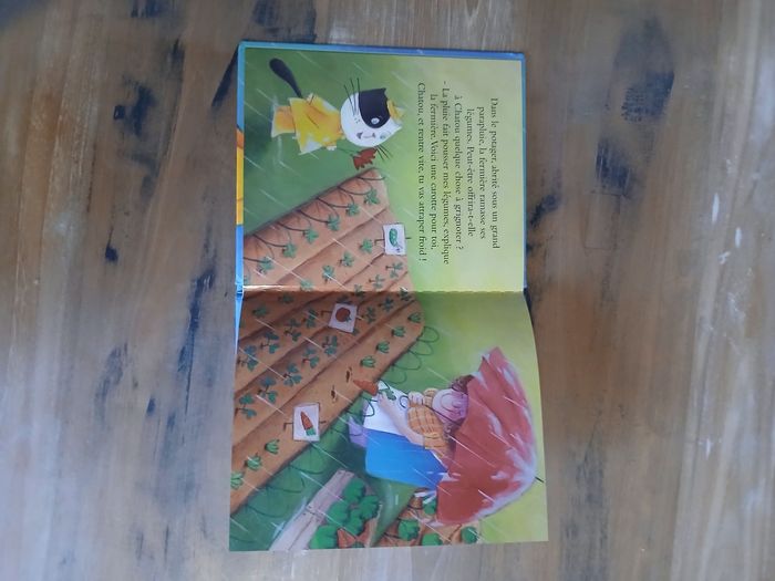 Lot de 2 livres "ca sert a quoi?" - photo numéro 3