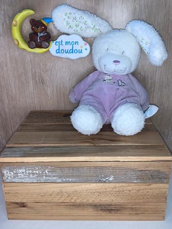 TEX157 doudou lapin 🐰 tex