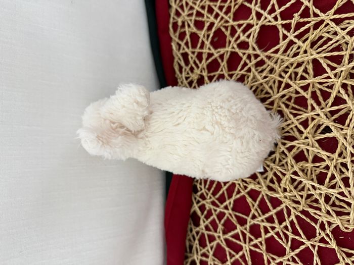 Doudou lapin blanc HISTOIRE D'OURS - photo numéro 4