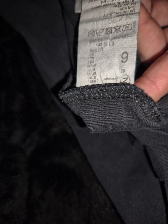 ML ours - photo numéro 4