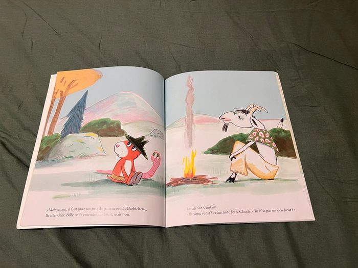 Livre enfants - Cheval fou - photo numéro 2