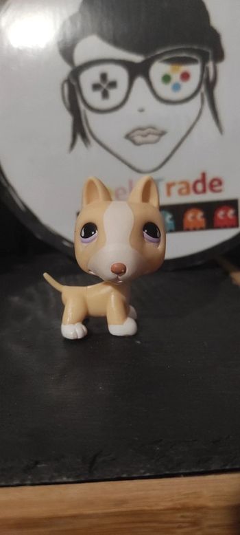 My Littlest Petshop Pet Shop LPS Bull Terrier 860 hasbro dog Yellow Purple Chien